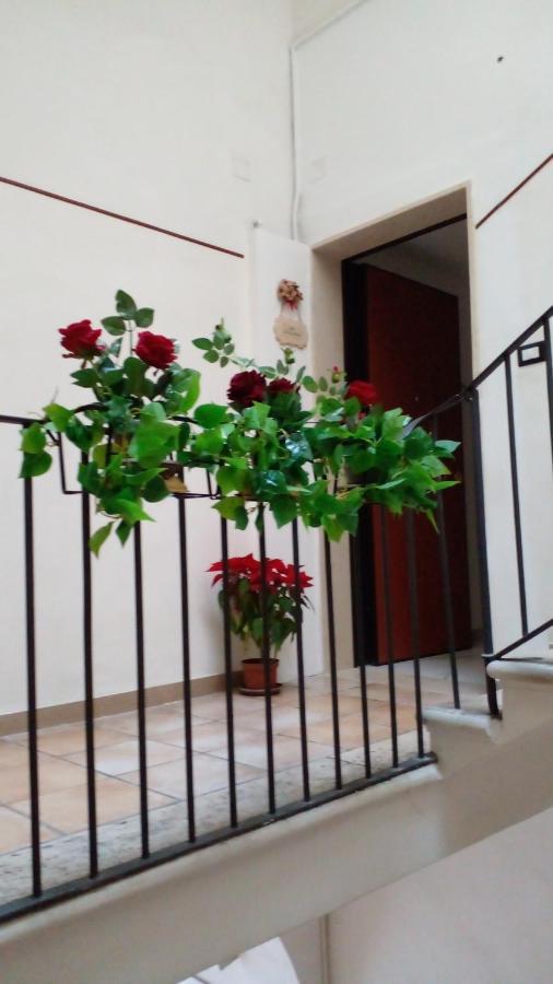 La Rosa Rossa Hotel Bari Exterior foto